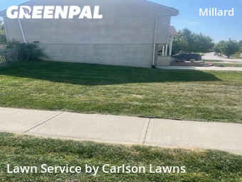 Yard Cutting nearby Omaha, NE, 