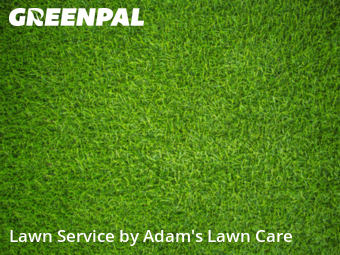 Lawn Mowing Service nearby St. Louis, MO, 