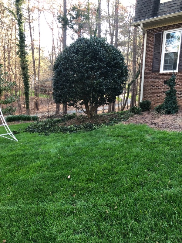 M.N.G Landscaping Lawn Care Services in Garner, NC
