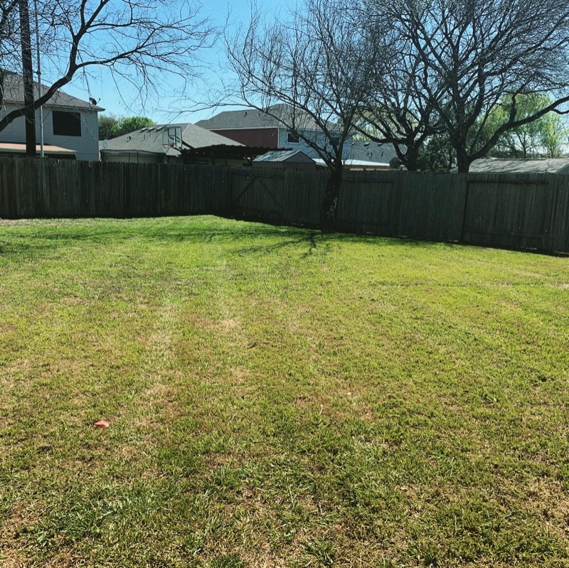 Lawn Care Service in San Antonio, TX, 78203