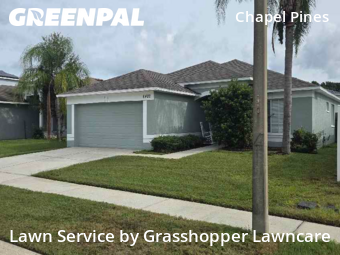 Grass Cut nearby Wesley Chapel, FL, 