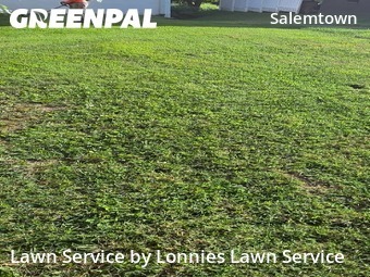 Lawn Maintenance nearby Nashville, TN, 