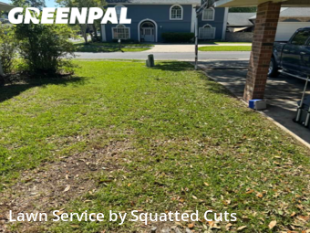 Grass Cut nearby Lafayette, LA, 