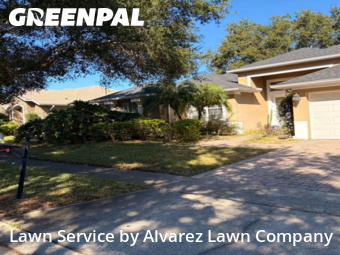 Lawn Carein Apopka,32712,Lawn Mow by Alvarez Lawn Company, work completed in Nov , 2025