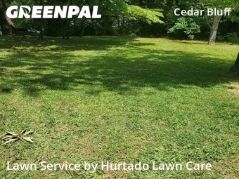 Yard Cutting nearby Knoxville, TN, 
