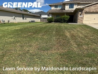 Lawn Care nearby Spring, TX, 