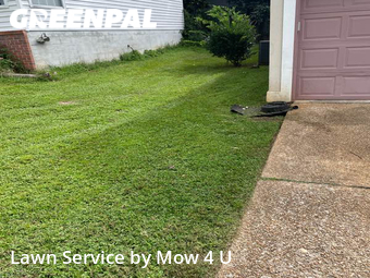 Lawn Cut nearby Tallahassee, FL, 