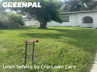 Grass Cut nearby Bartow, FL, 