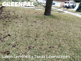 Lawn Cut nearby Plano, TX, 