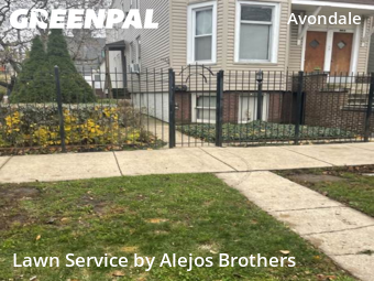 Affordable Landscaping Maintenance Services In Chicago,60618,Landscaping by Alejos Brothers, work completed in Dec , 2025