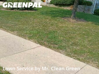 Yard Cutting nearby Carney, MD, 