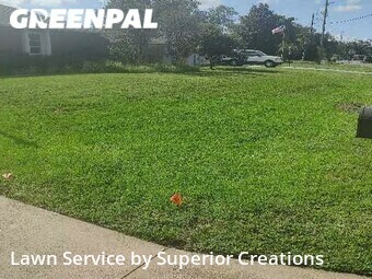 Grass Cutting nearby Spring Hill, FL, 
