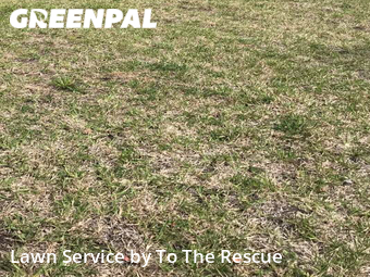 Lawn Mow nearby Jacksonville, FL, 