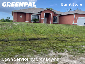 Lawn Cutting nearby Cape Coral, FL, 