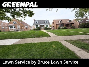 Lawn mowed in Elmwood Park, 60707