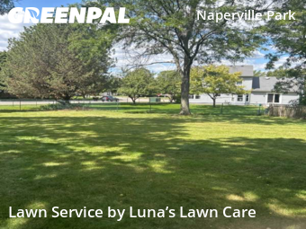 Yard Cutting nearby Naperville, IL, 