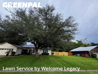 Yard Management in Alachua, 32615, Weed Trimming by Welcome Legacy , work completed in Nov , 2025