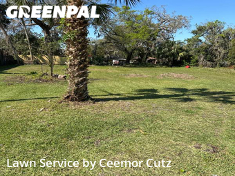 Grass Cutting nearby Daytona Beach, FL, 