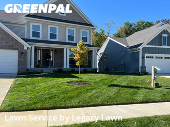 Grass Cutting nearby Louisville, KY, 