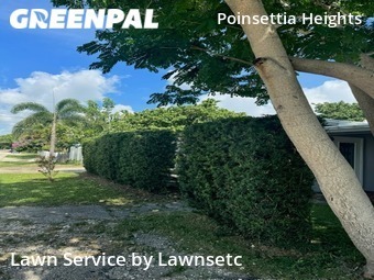 Lawn Maintenance nearby Fort Lauderdale, FL, 
