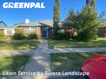 Lawn Mowing Servicein The Colony,75056,Lawn Service by Rivera Landscape , work completed in Nov , 2025