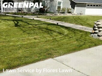 Grass Cutting nearby Lancaster, CA, 