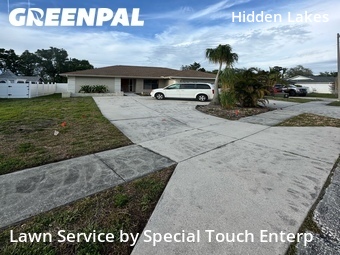 Grass Cut nearby Palm Harbor, FL, 
