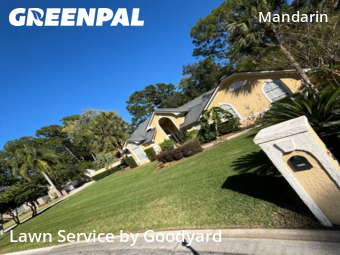 Yard Maintenance in Jacksonville, 32223, Garden Trimming by Goodyard , work completed in Nov , 2025