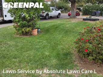 Work completed by lawn-maintenance-in-Davis-CA