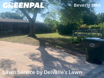 Lawn Care Service nearby Daytona Beach, FL, 