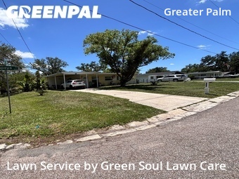 Grass Cut nearby Tampa, FL, 
