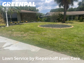 Lawn Cutting nearby Clearwater, FL, 