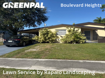 Yard Mowingin Hollywood,33024,Lawn Service by Rapalo Landscaping, work completed in Jan , 2026