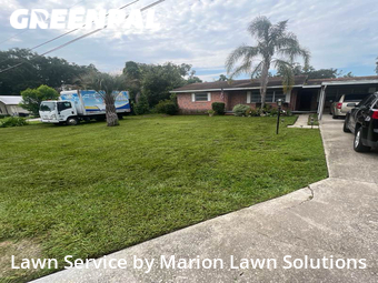 Lawn Mowing Service nearby Belleview, FL, 