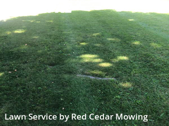 Lawn Service nearby Lansing, MI, 