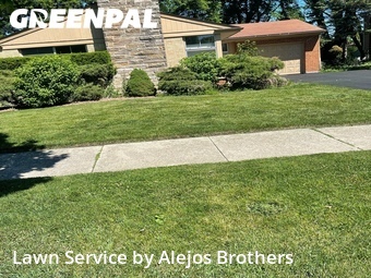 Lawn Care Servicein Elmhurst,60126,Lawn Care Service by Alejos Brothers, work completed in Jun , 2026