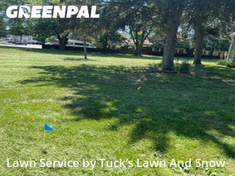 Lawn Cut nearby Westland, MI, 