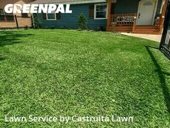 Lawn Service nearby Houston, TX, 