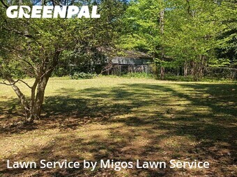 Yard Cutting nearby Stone Mountain, GA, 