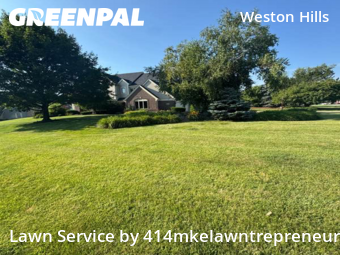 Yard Upkeep in Brookfield, 53045, Yard Care Services by 414mkelawntrepreneur, work completed in Oct , 2025