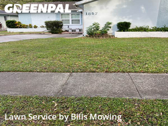Yard Cutting nearby Clearwater, FL, 