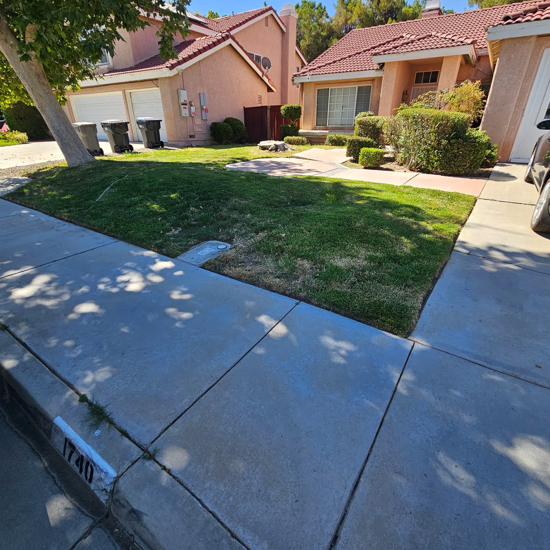 Lawn mowing work by Olivares Gardening  in Beverly Hills, CA