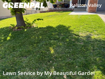 Grass Cutting nearby Arvada, CO, 