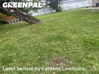 Lawn Care Service nearby Miami, FL, 