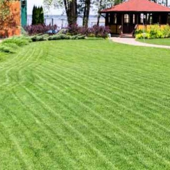 residential-lawn-cutting-businesses-in-Binghamton-NY