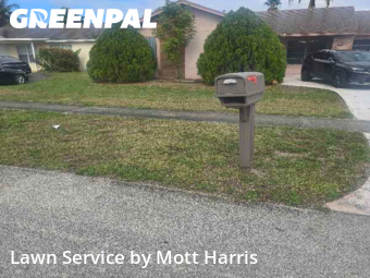Grass Cut nearby Sunrise, FL, 