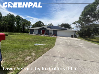 Lawn Mow nearby Palm Bay, FL, 