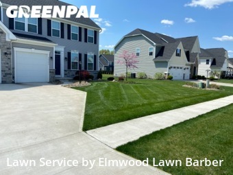 Grass Cutting nearby North Ridgeville, OH, 