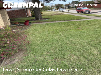 Lawn Cutin Plano,75023,Grass Cut by Colas Lawn Care, work completed in Nov , 2025