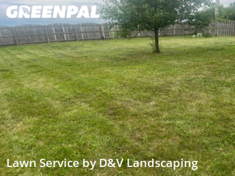 Lawn Care nearby Crest Hill, IL, 